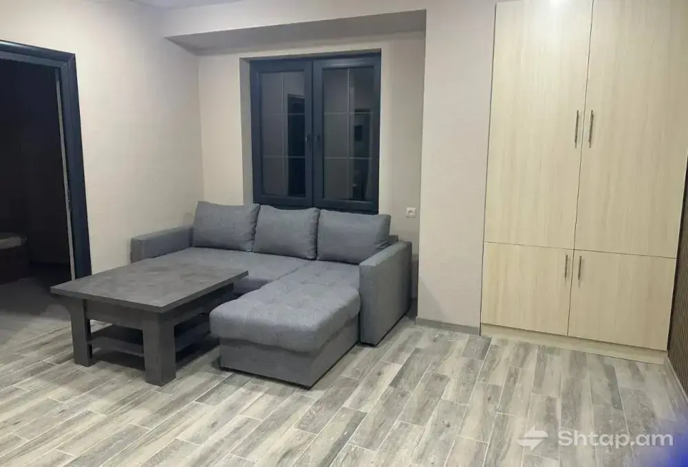 Apartment Rental on Arno Babajanyan Street 1