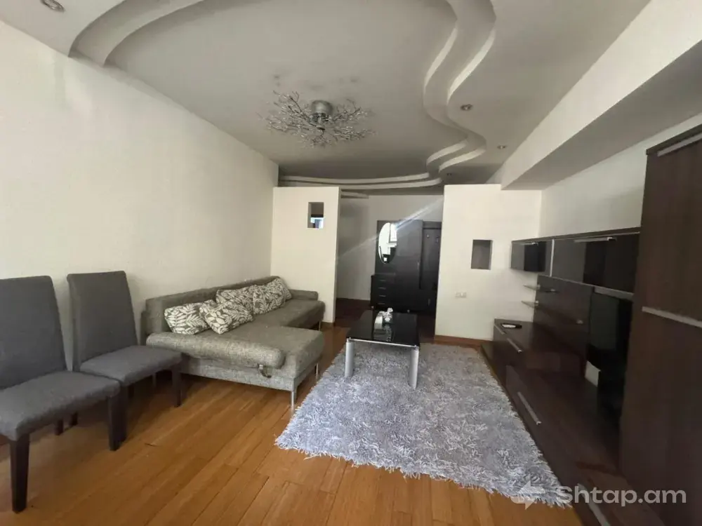 Spacious Apartment in the Center of Yerevan 3