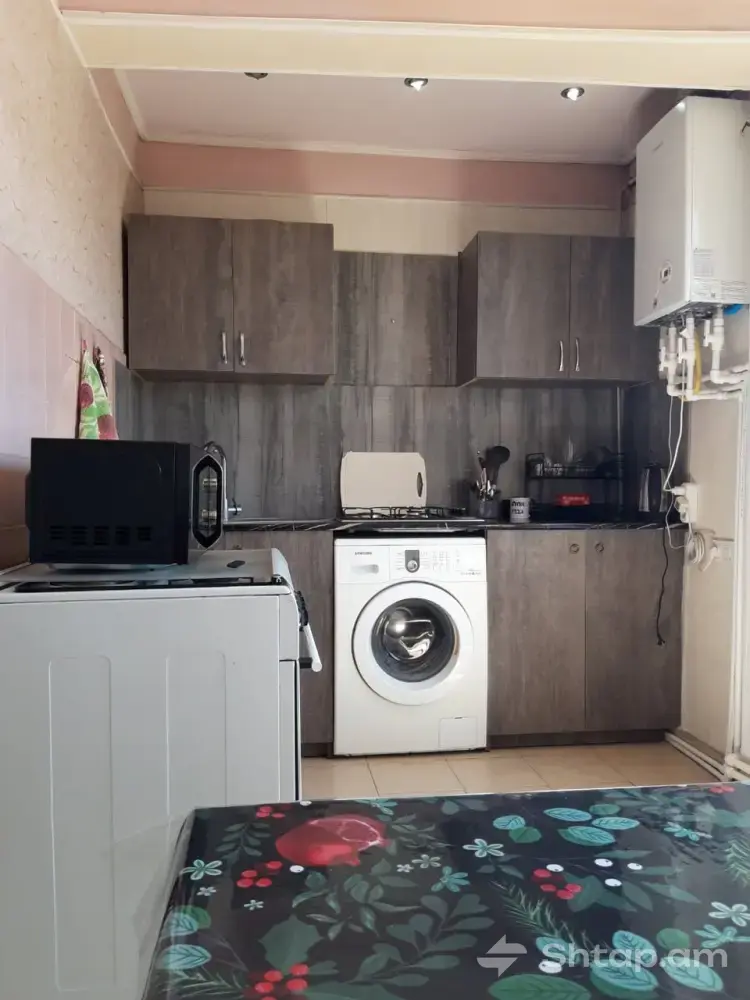 Cozy Apartment for Rent in the Center of Yerevan 1