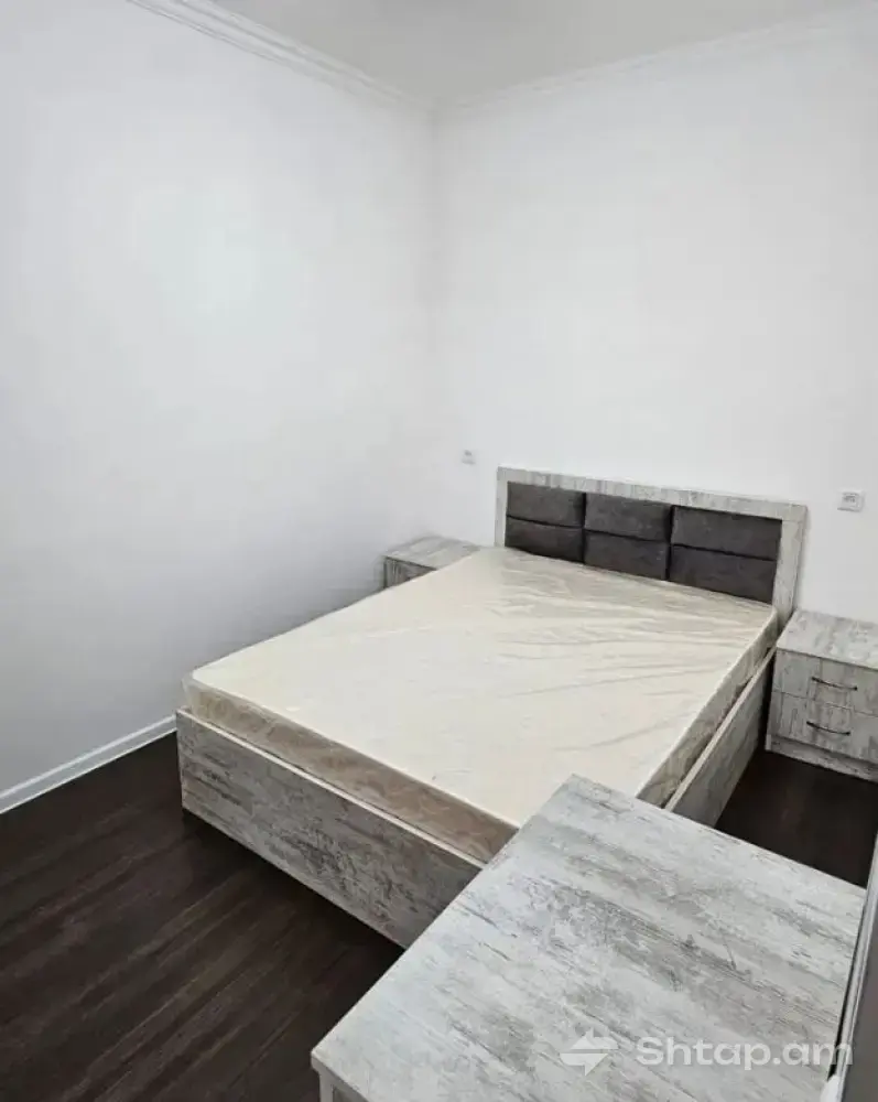 3-Room Apartment Available for Rent in Davtashen 4