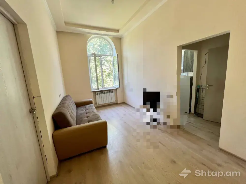 Apartment Rental in Arabkir 4