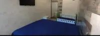 Վարձով Բնակարան Նոր Նորք 4-րդ Զանգվածում image thumbnail 4