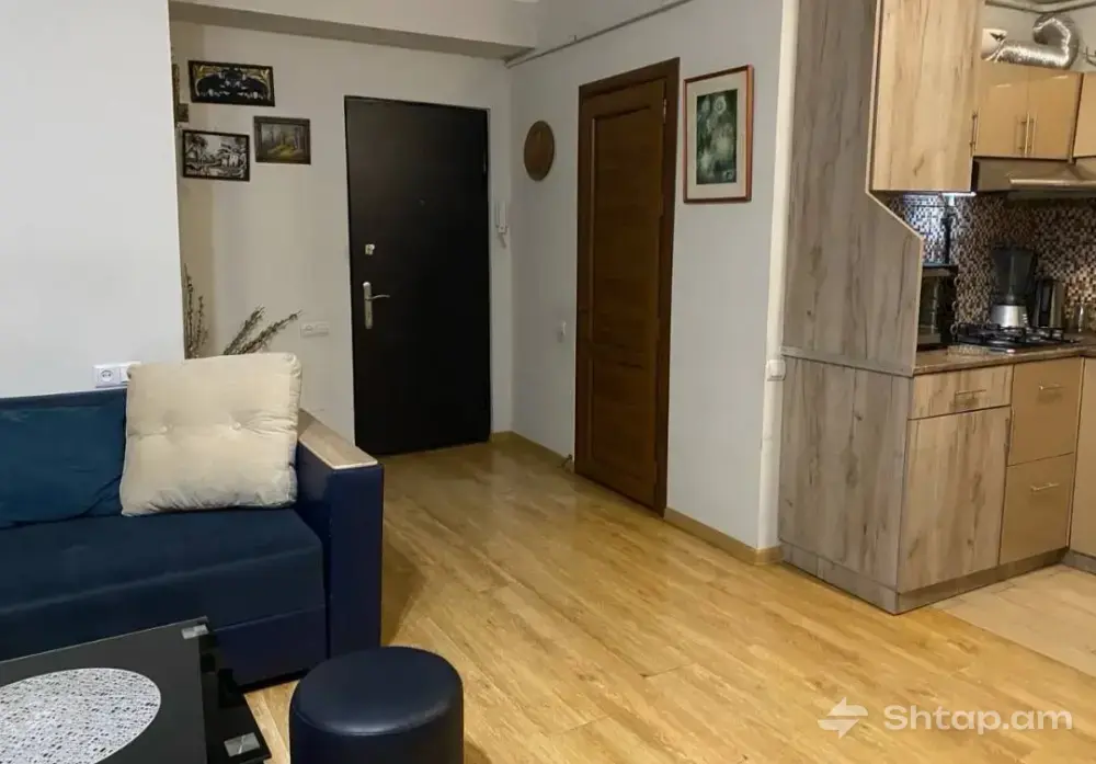 Euro-Renovated Apartment for Rent 3