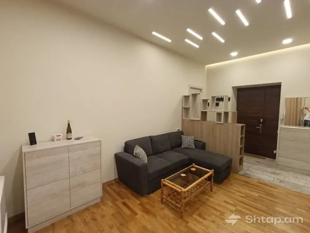 Rent a Luxurious Apartment in the Heart of Yerevan 3