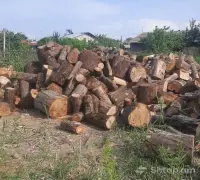Firewood: Wet and Dry image thumbnail 0